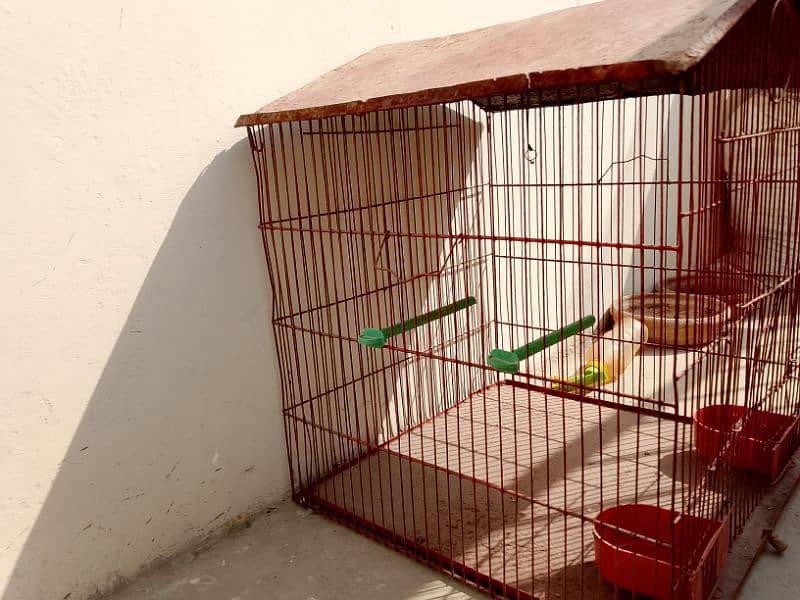 sale two cage ek cage two floor and one single 3