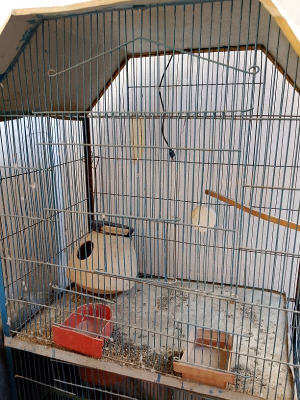 sale two cage ek cage two floor and one single 7