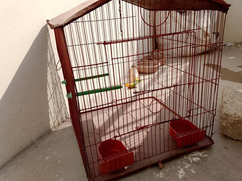 sale two cage ek cage two floor and one single 11