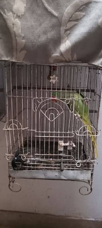 Raw cage for sale 0