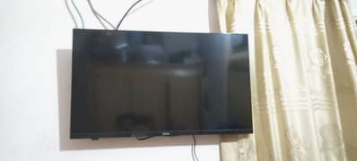 Haier Android tv K66 2024