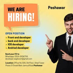 Job Opportunity For Programmers And Developers!