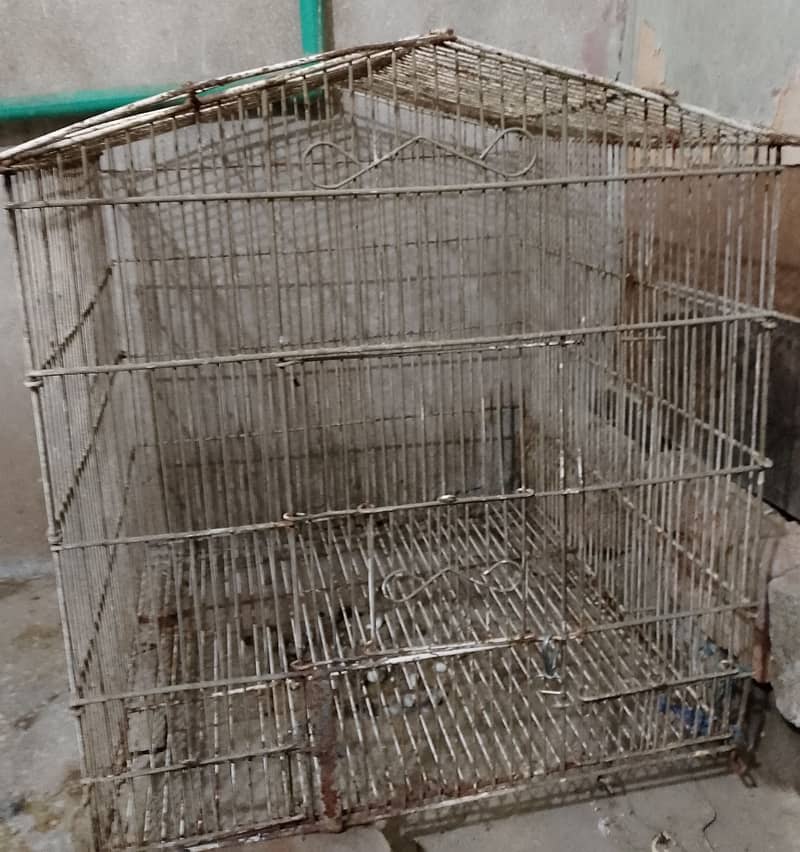 Cage for sale 2