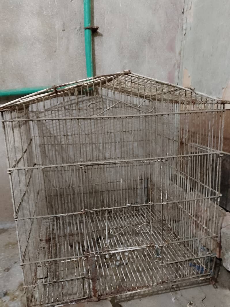 Cage for sale 3