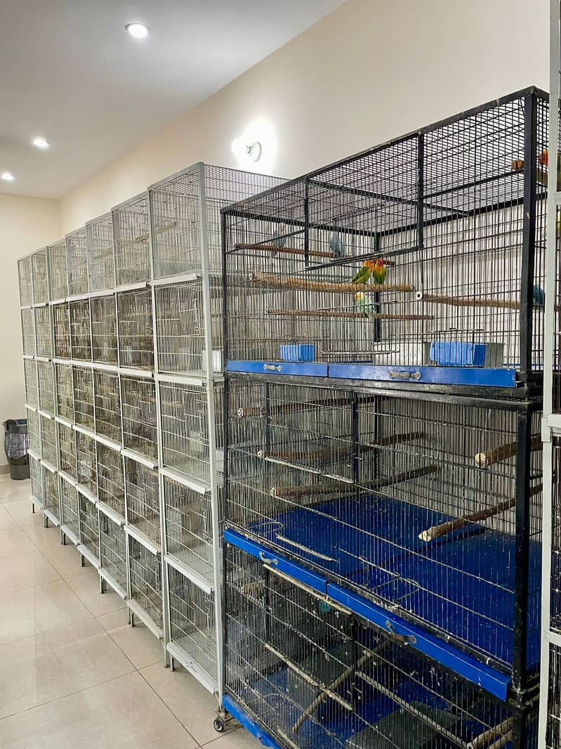 Cage/ Bird cage/ cage for sale / pinjra /iron cage /lovebird cage 2