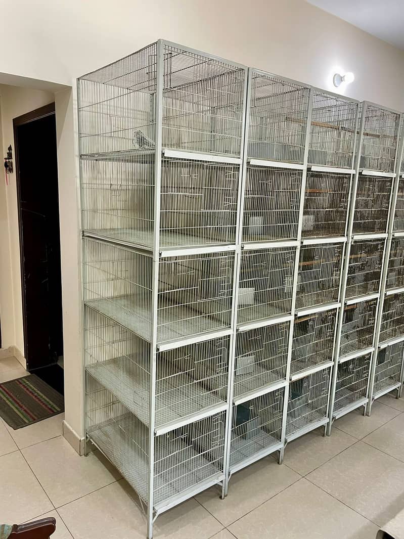 Cage/ Bird cage/ cage for sale / pinjra /iron cage /lovebird cage 3