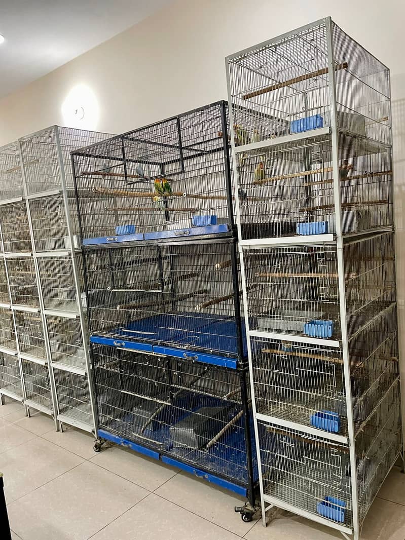 Cage/ Bird cage/ cage for sale / pinjra /iron cage /lovebird cage 4