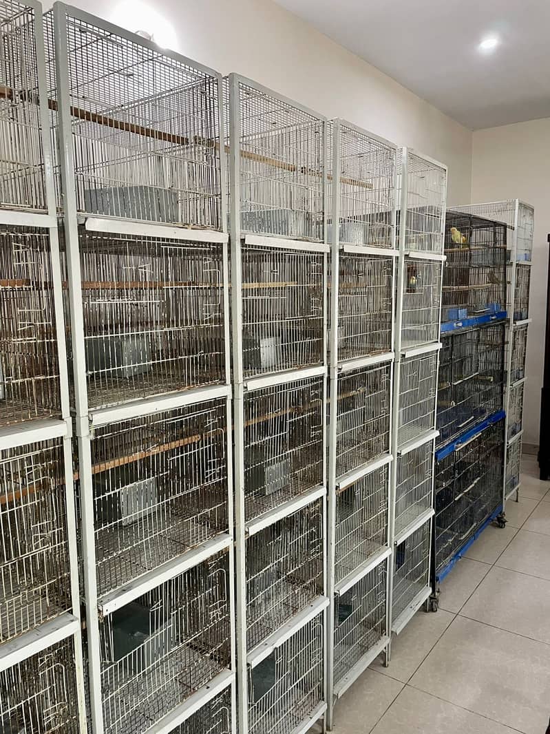 Cage/ Bird cage/ cage for sale / pinjra /iron cage /lovebird cage 5