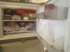 fridge