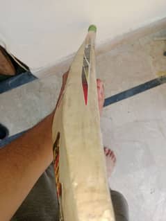 hard ball bat