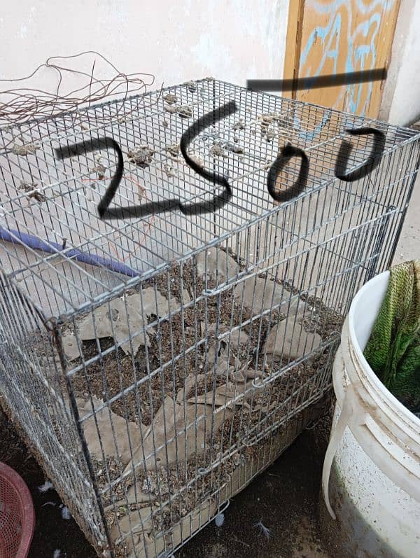 cage for sale 03157971774 3