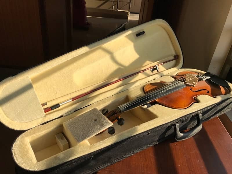 Acoustic Violin (Brand New) 0