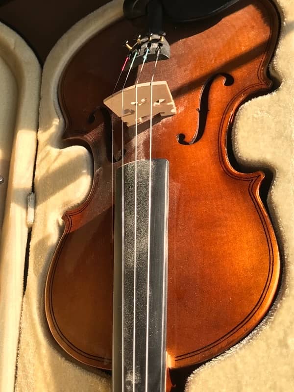 Acoustic Violin (Brand New) 9