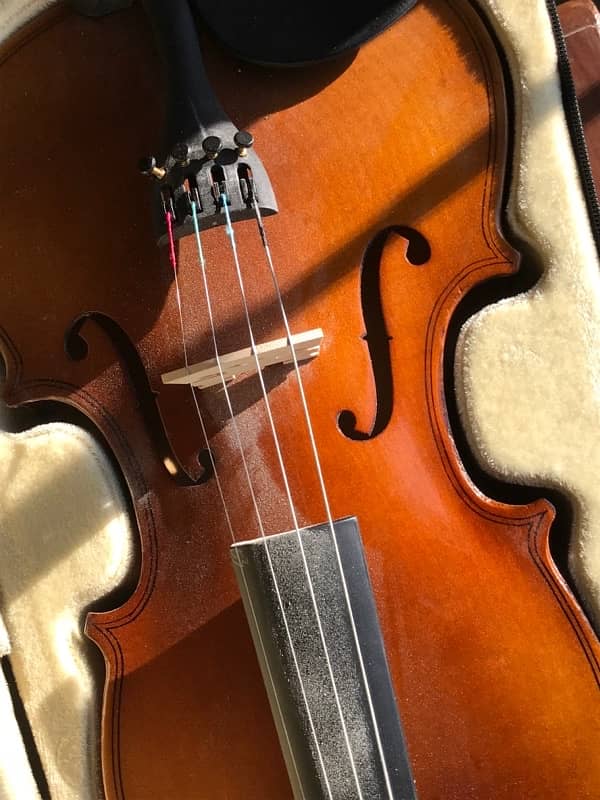 Acoustic Violin (Brand New) 10