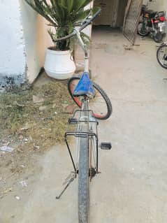 Fonex cycle for sale