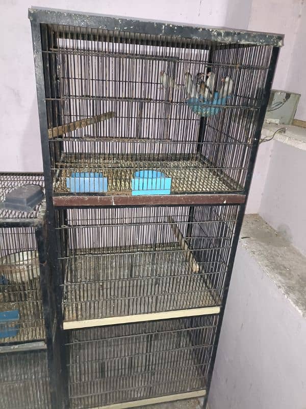 . 2. . . cage. . new condition 1