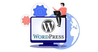 i am professional wordpress developer