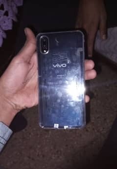 vivo