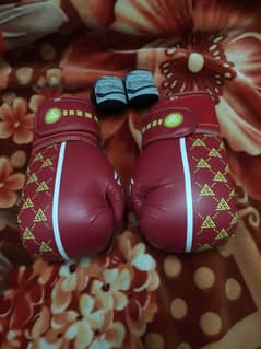 Professional Boxing Gloves