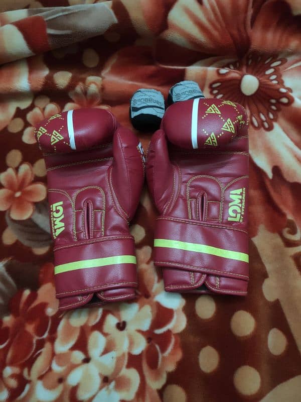 Professional Boxing Gloves 1