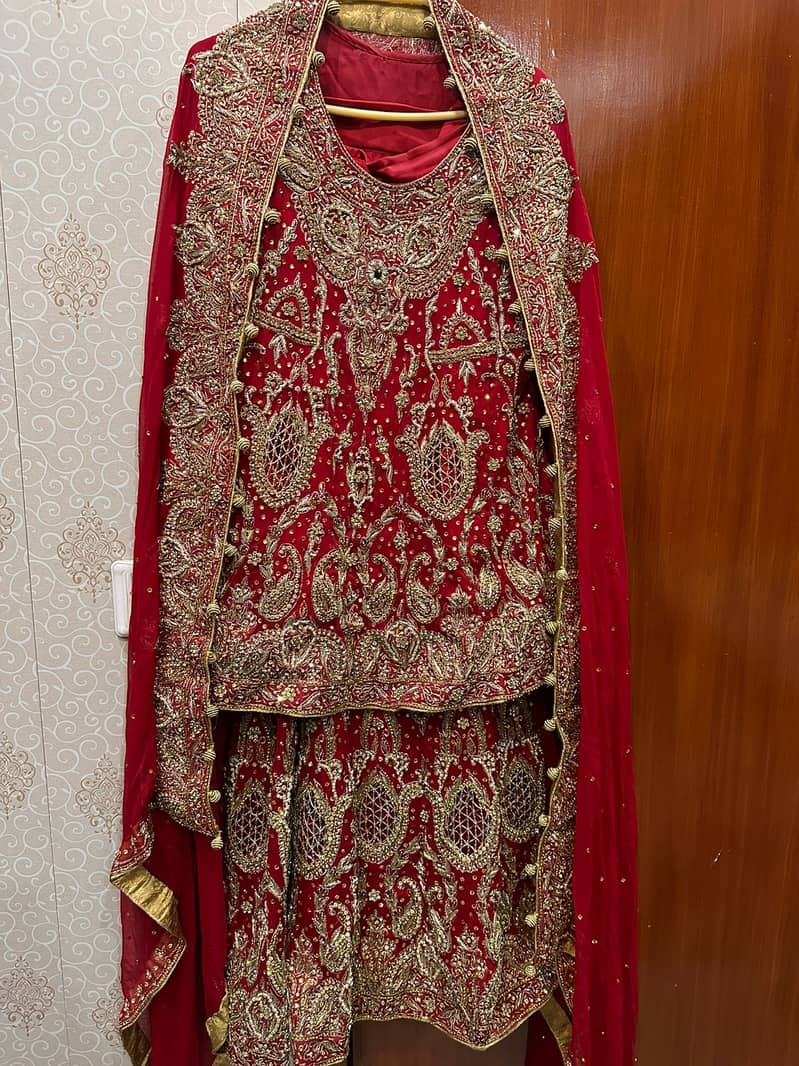 Wedding Dress / Barat Dress / Red Lehnga 2