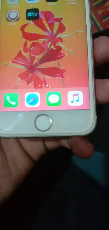 iPhone 6 PTA approved story 16 0