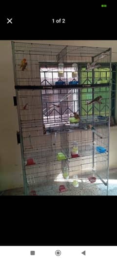 Birds cage for sell