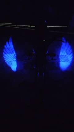 Wings Lights