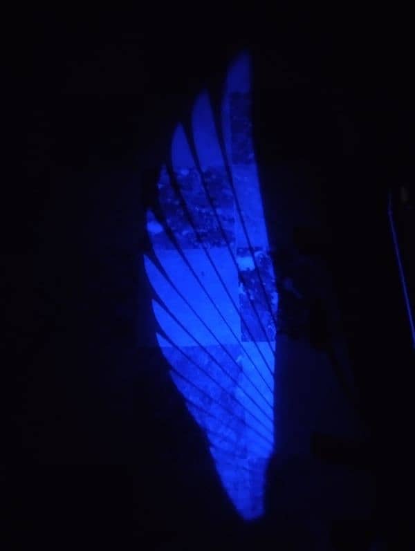 Wings Lights 2