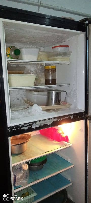 PEL fridge, Glass door, good condition 4