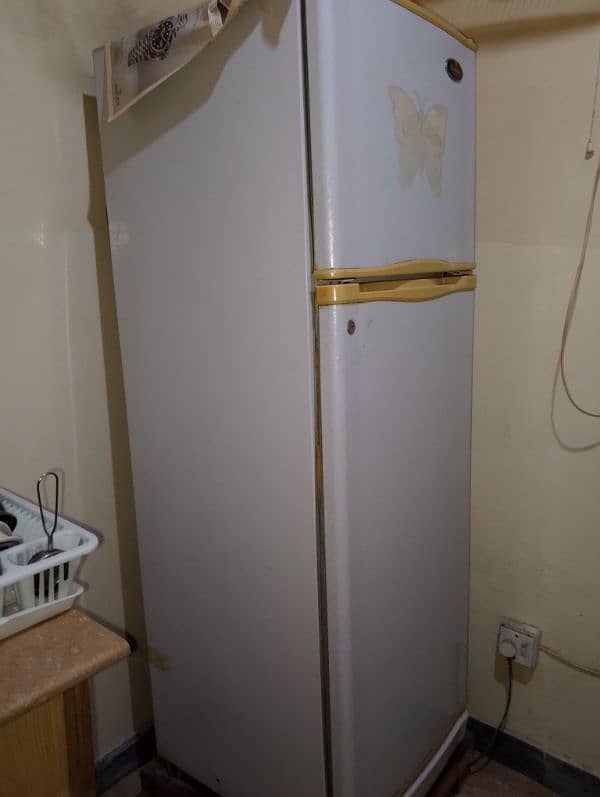 refrigerator 1