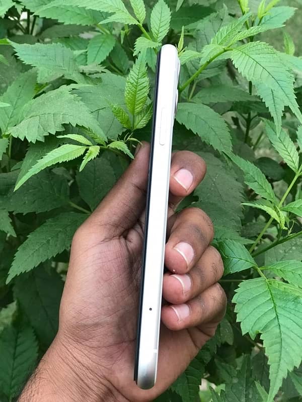 IPhone 11  128 Gb 1