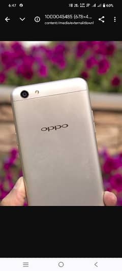 Oppo