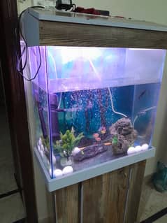 Fish tank with fish for sale