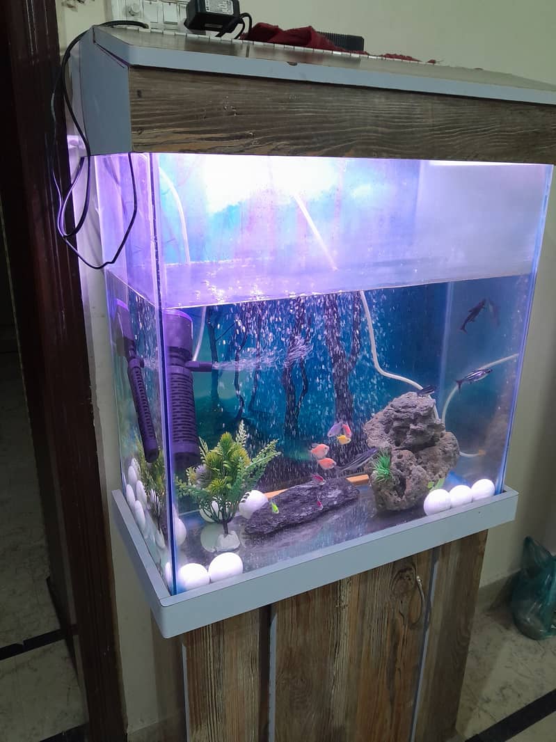 Fish tank with fish for sale 0