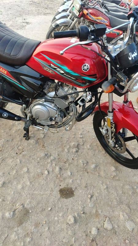 Yamaha bike YBZ 125 DX Islamabad number 5