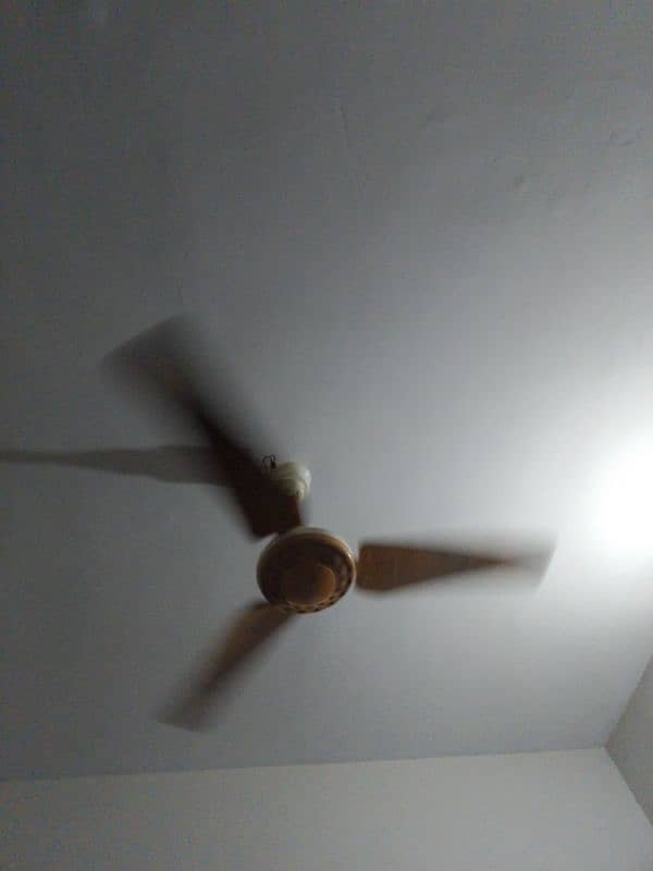 For Sale New Fan 1