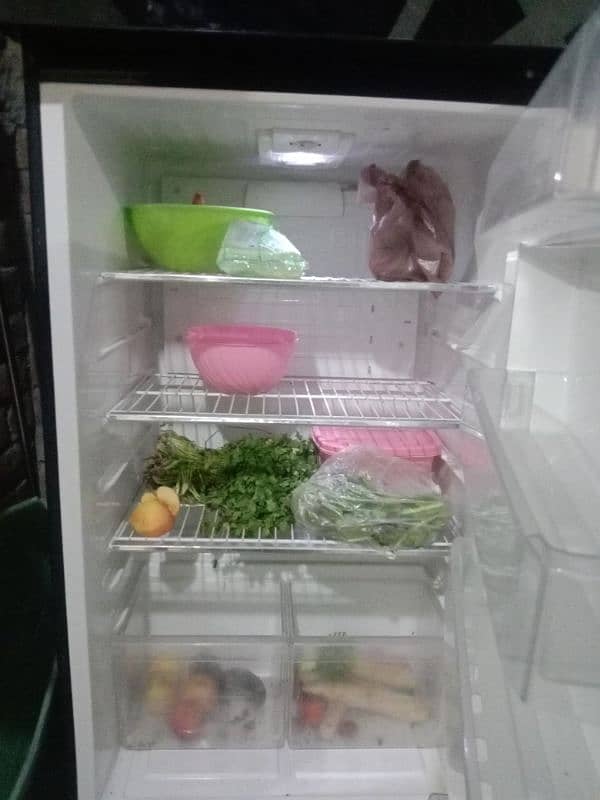 pel glass door fridge 2