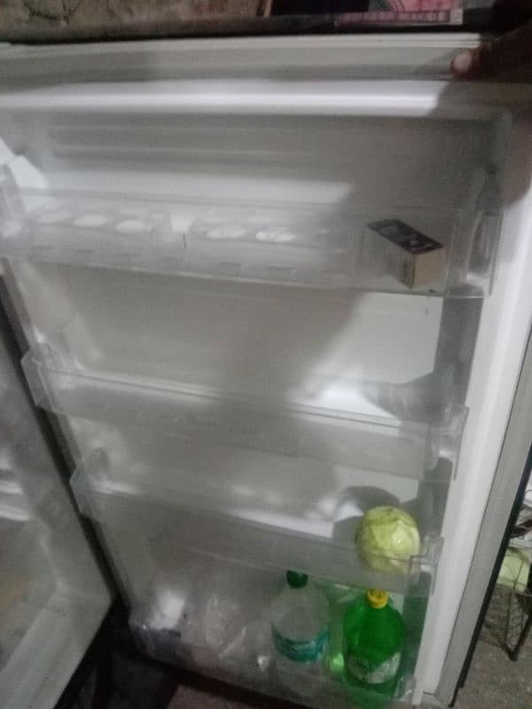 pel glass door fridge 3