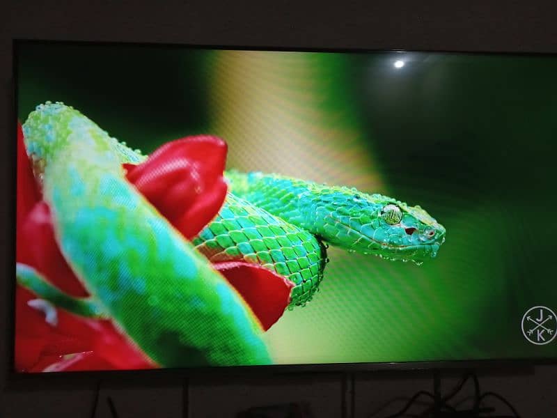 TCL C635 LED 1