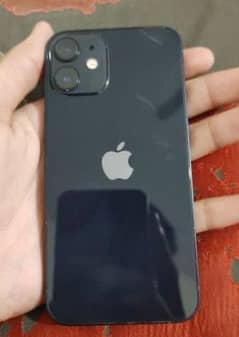 iphone 12 mini 10by10