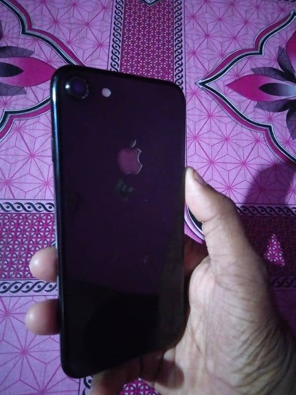 iPhone 7_128GB PTA Approved 6