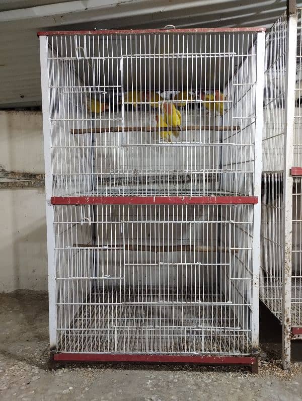 urgent sale cage 4