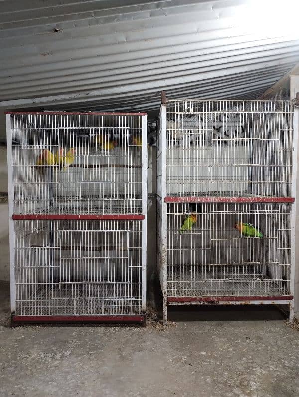 urgent sale cage 0