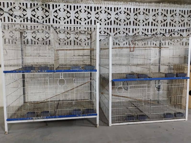 urgent sale cage 11