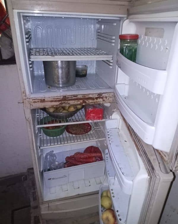 Pel Small fridge urgent sell 1