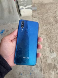 vivo