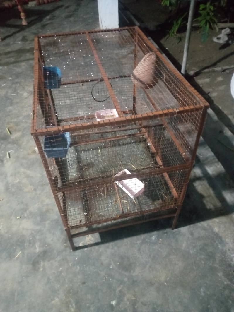 Cage for sale 3