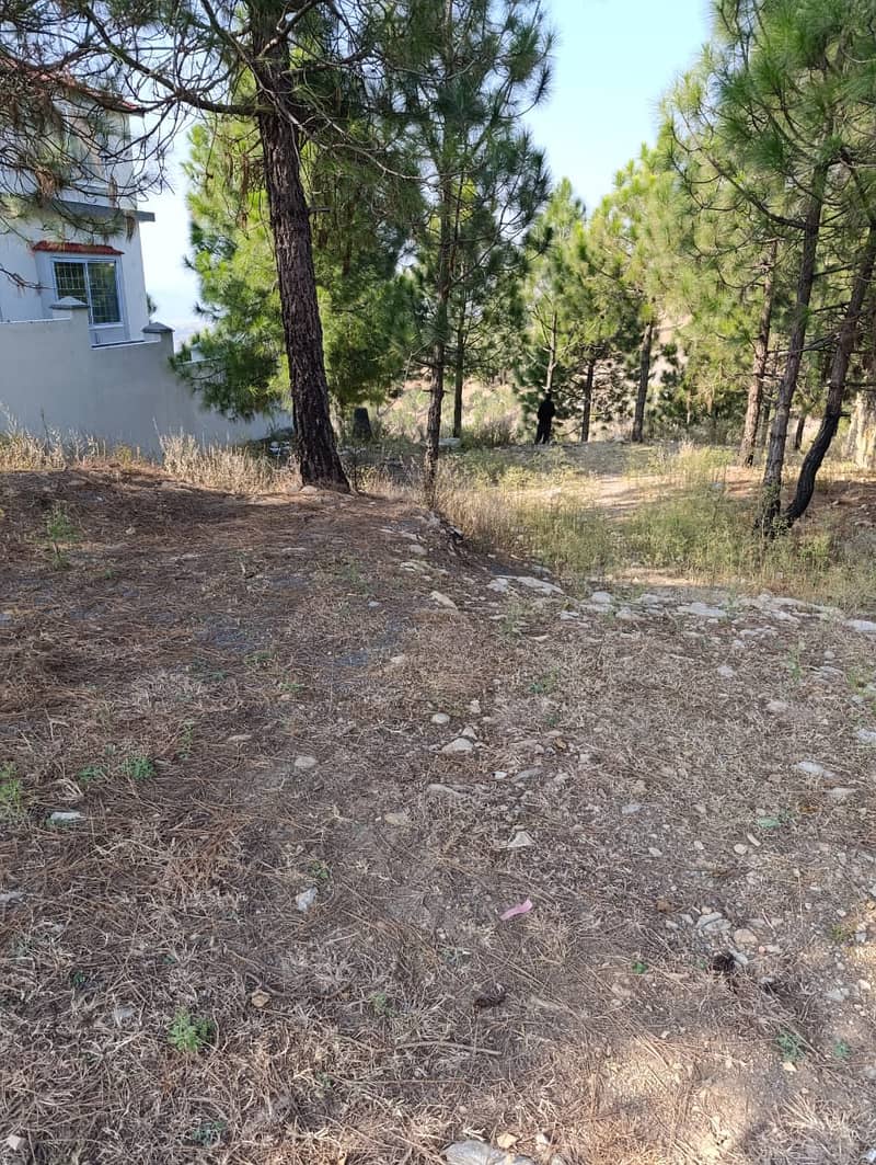 1 Kanal Plot For Sale In Sector A Township Abbottabad 1