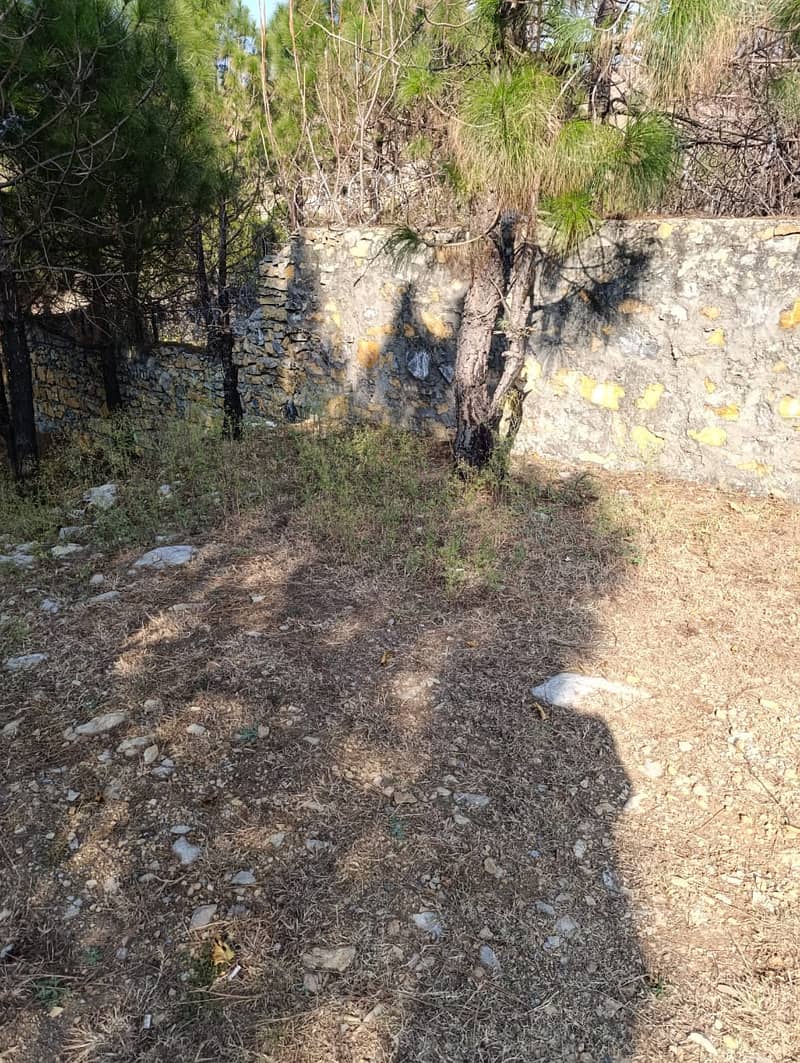 1 Kanal Plot For Sale In Sector C Township Abbottabad 0